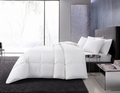 2026 Duvet-1